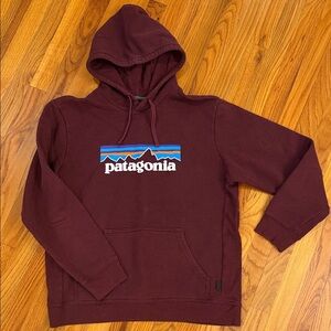 Patagonia Maroon Logo Pullover Hoodie